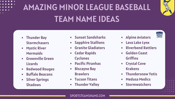 Amazing Minor League Baseball Team Name Ideas 