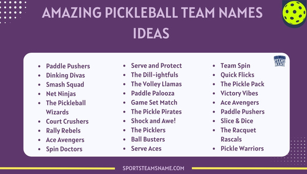 Amazing Pickleball Team Names  Ideas 