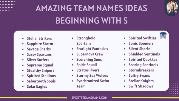 Amazing Team Names Ideas Beginning With S 