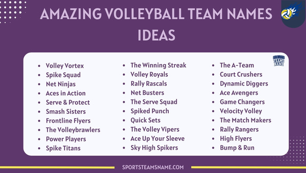 Amazing Volleyball Team Names Ideas