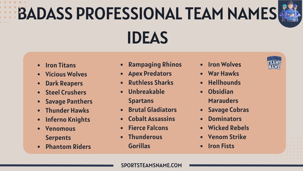 Badass Professional Team Names 
Ideas