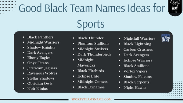 Good Black Team Names Ideas for Sports