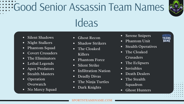Good Senior Assassin Team Names Ideas 