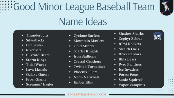 Good Minor League Baseball Team Name Ideas 