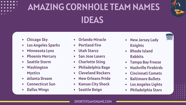 Amazing Cornhole Team Names Ideas  