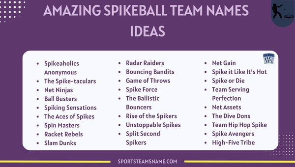 Amazing Spikeball Team Names Ideas