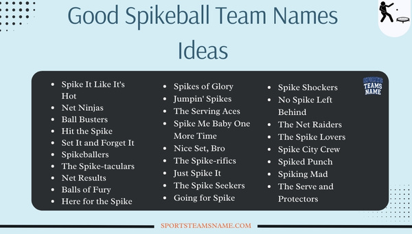 Good Spikeball Team Names Ideas